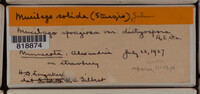 Image Associated With the Occurence